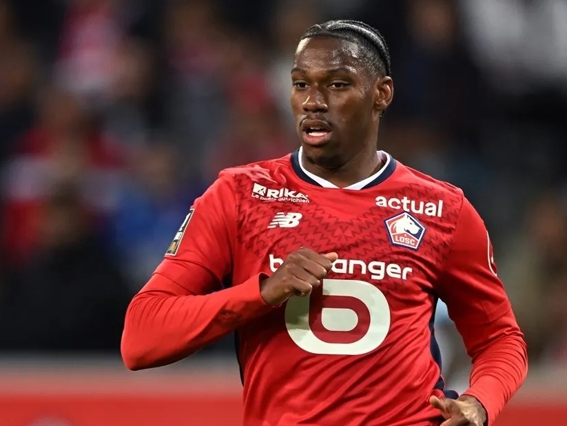 体和球迷的 体和球迷的